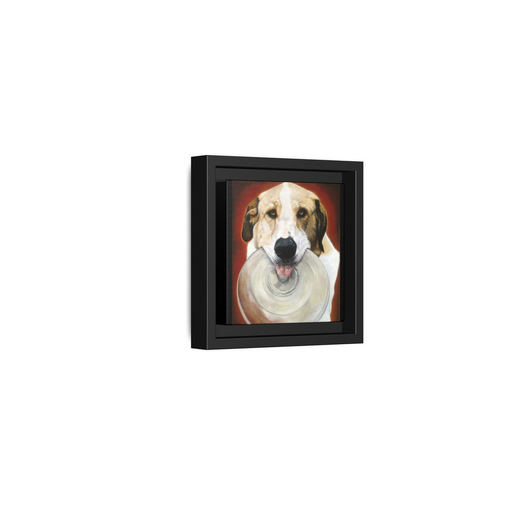 Framed Matte Canvas Print — Playful Wookie Holding His Frisbee