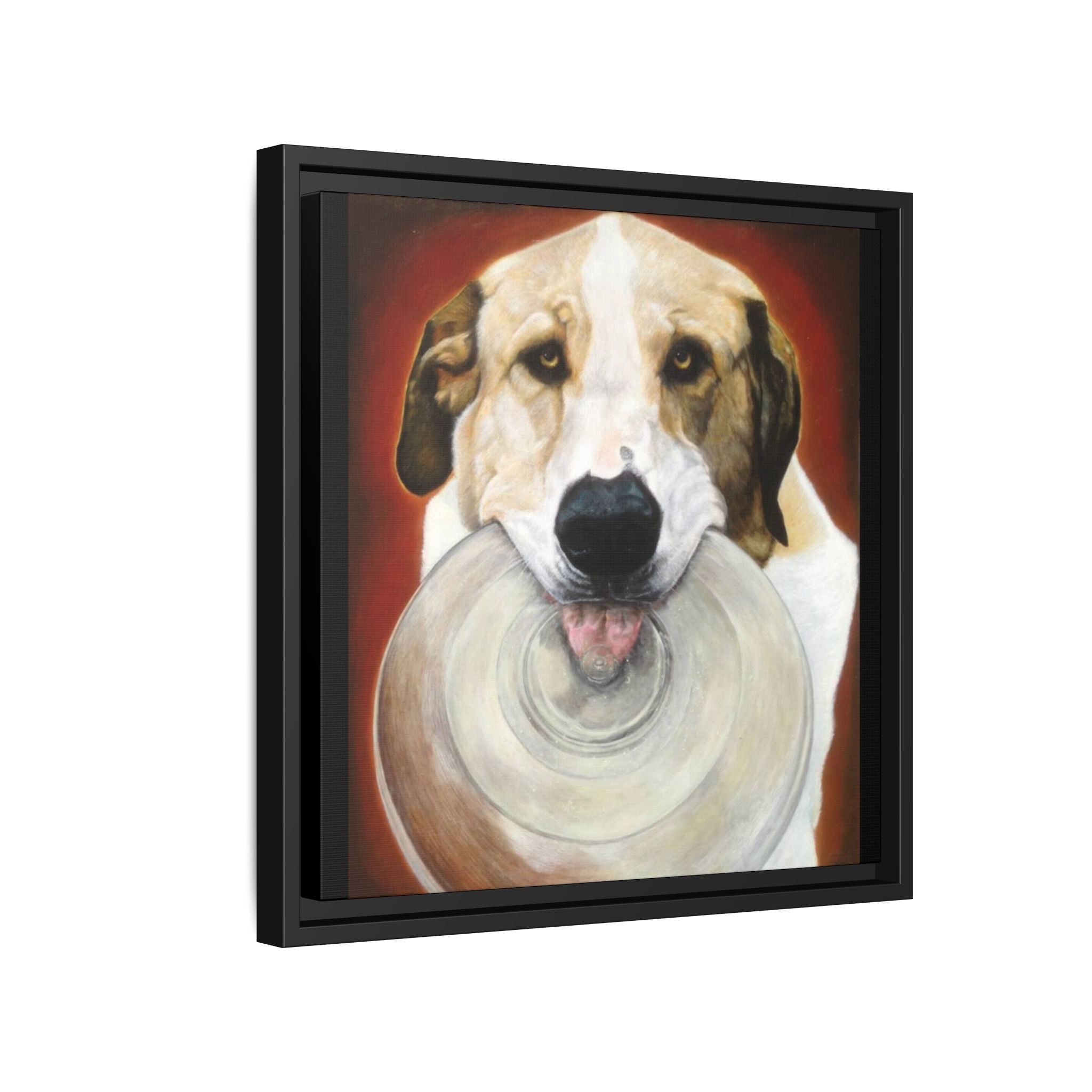 Framed Matte Canvas Print — Playful Wookie Holding His Frisbee