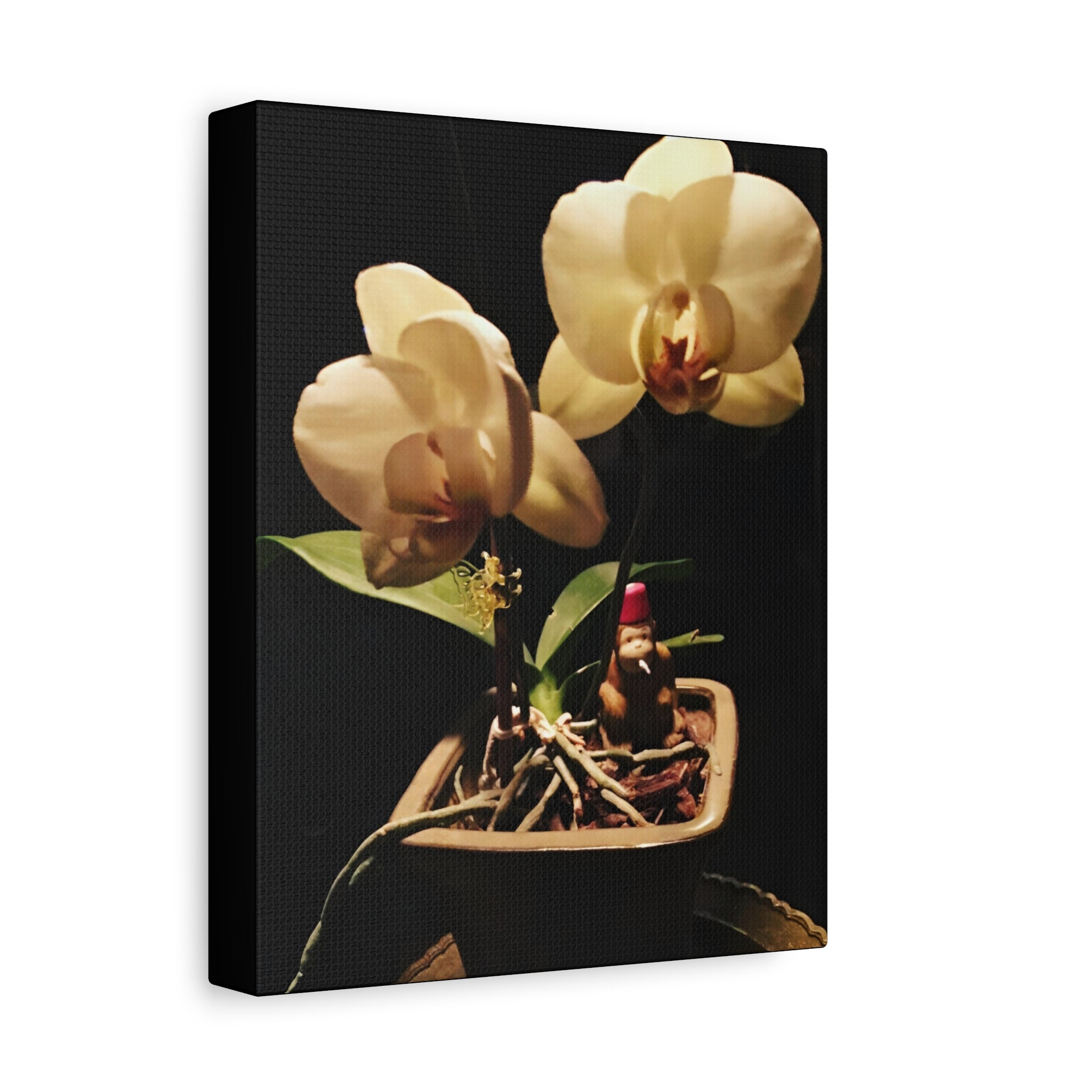 Orchid Still Life Canvas – Orchid Wall Art with Fez Monkey on Matte Stretched Canvas