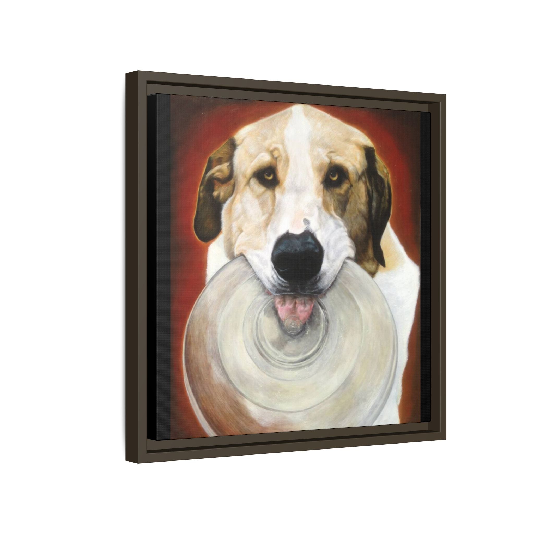 Framed Matte Canvas Print — Playful Wookie Holding His Frisbee