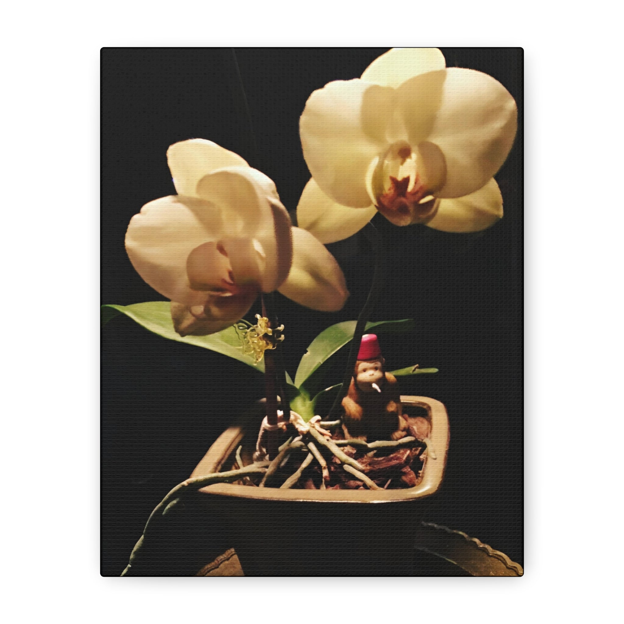 Orchid Still Life Canvas – Orchid Wall Art with Fez Monkey on Matte Stretched Canvas