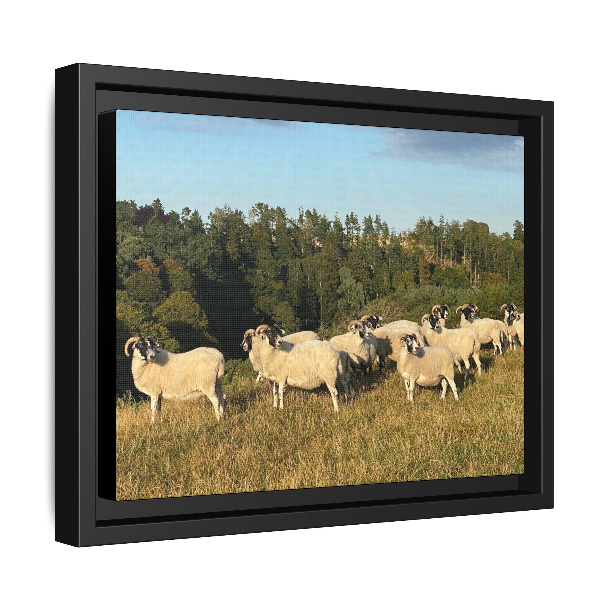 Framed Matte Canvas Print — Pastoral Sheep Landscape Wall Art