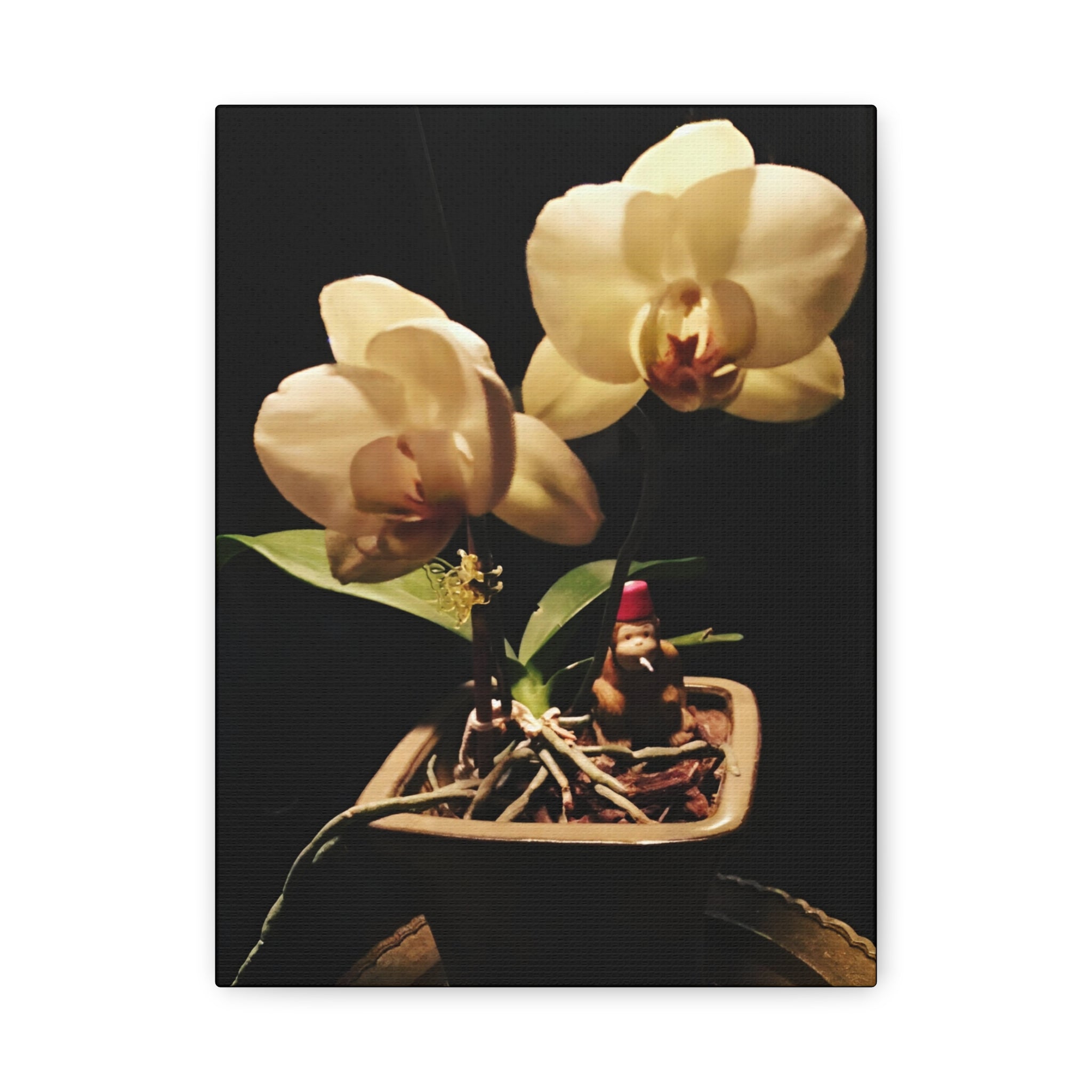 Orchid Still Life Canvas – Orchid Wall Art with Fez Monkey on Matte Stretched Canvas