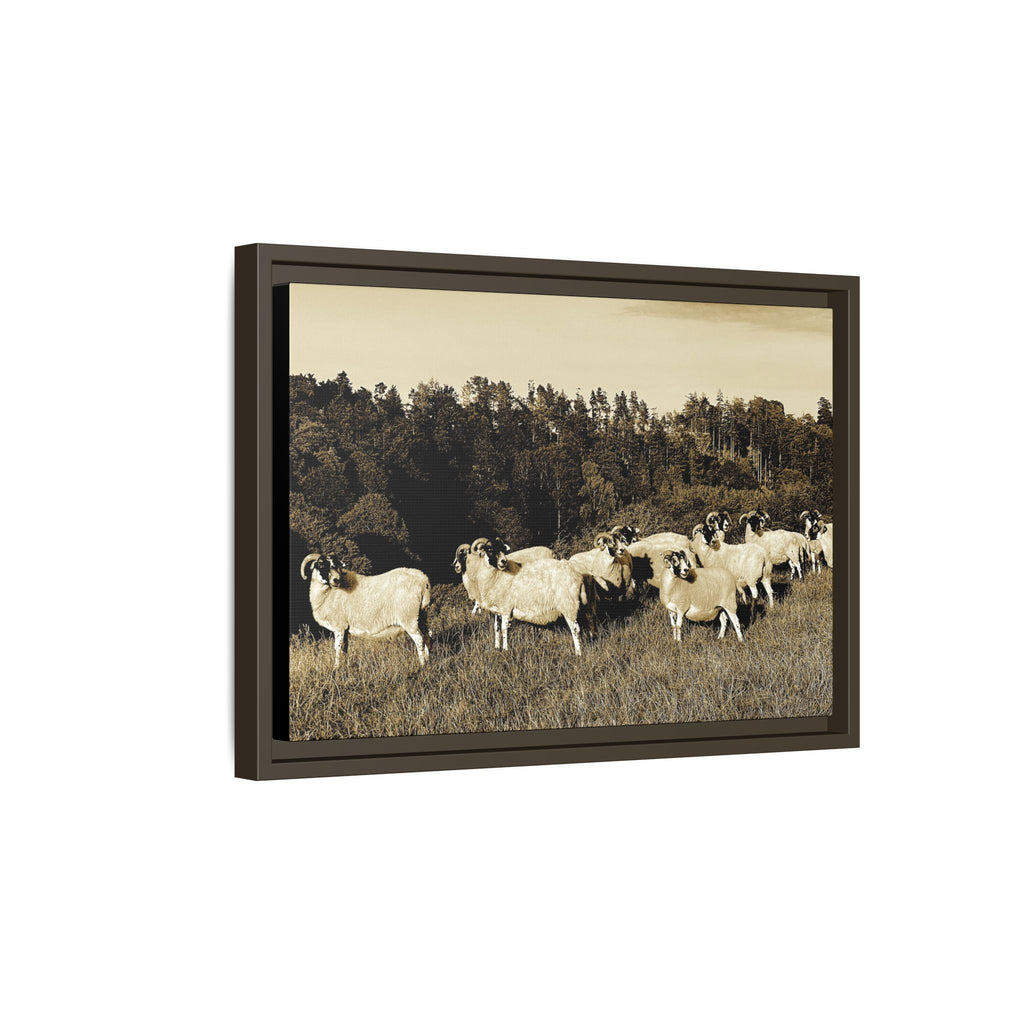 Framed Matte Canvas Print — Vintage Sheep Pasture Wall Art