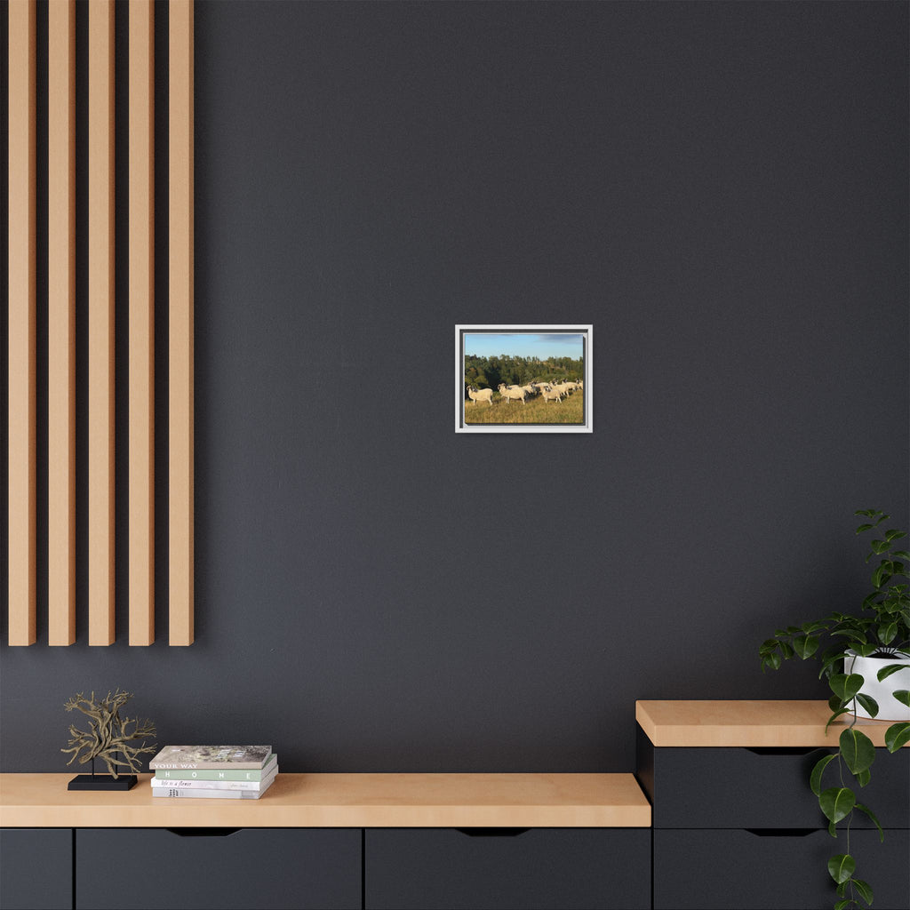 Framed Matte Canvas Print — Pastoral Sheep Landscape Wall Art
