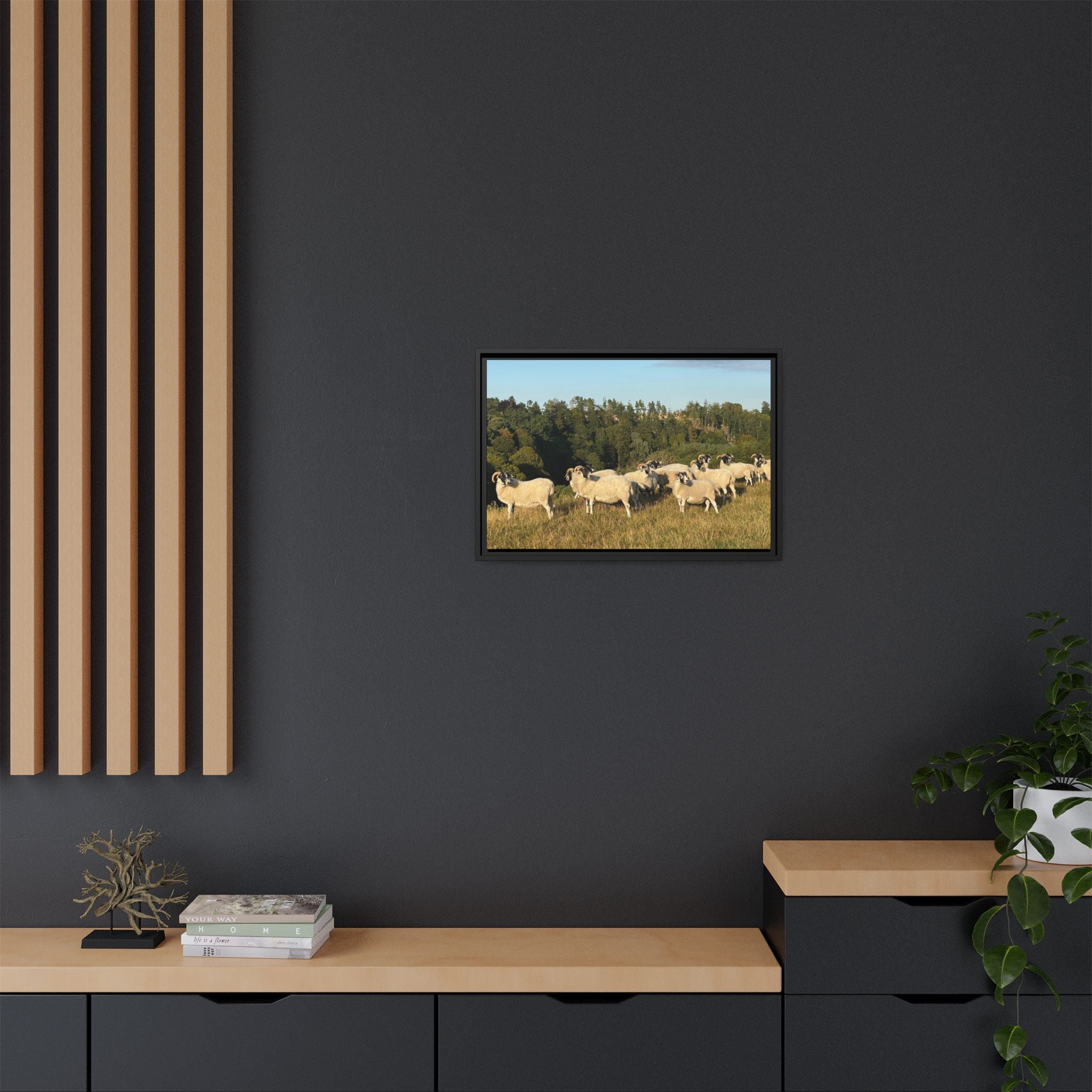 Framed Matte Canvas Print — Pastoral Sheep Landscape Wall Art