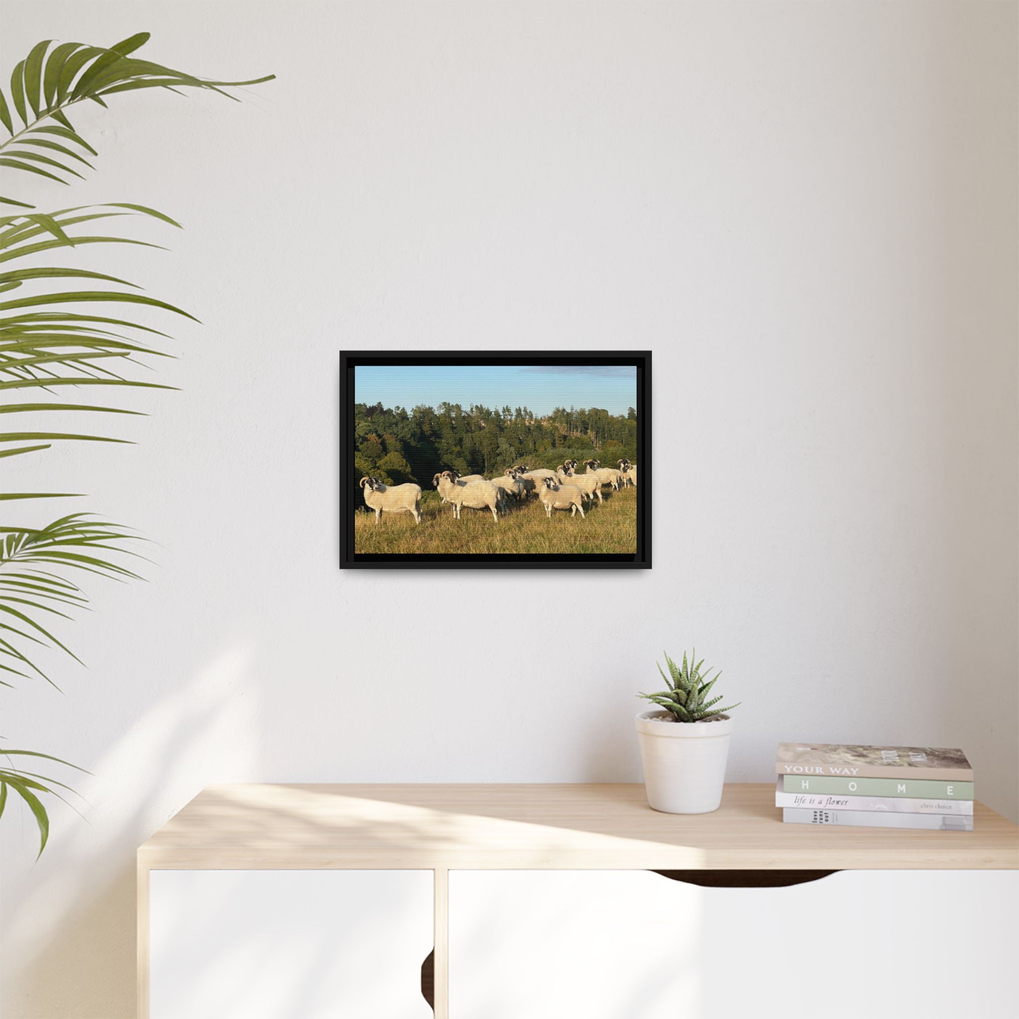 Framed Matte Canvas Print — Pastoral Sheep Landscape Wall Art