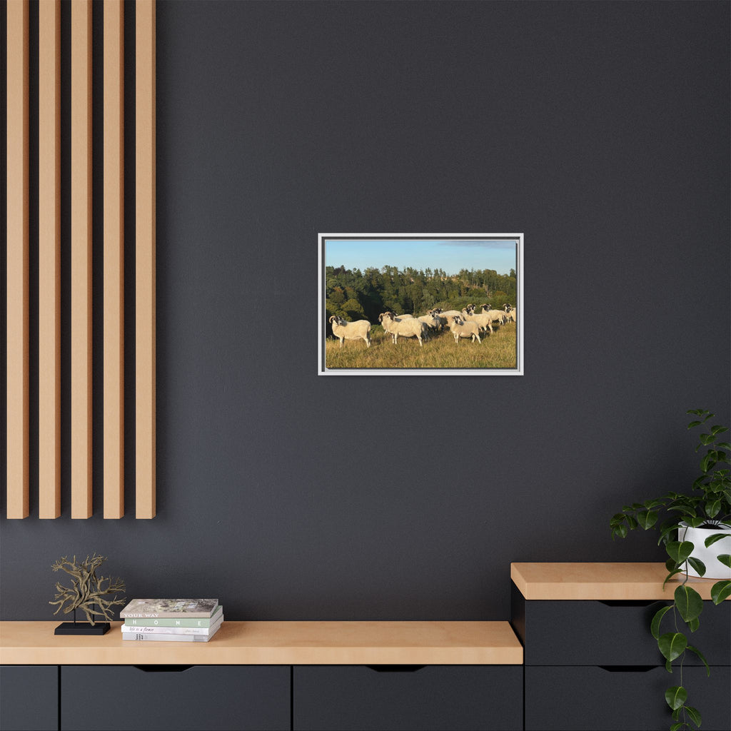 Framed Matte Canvas Print — Pastoral Sheep Landscape Wall Art