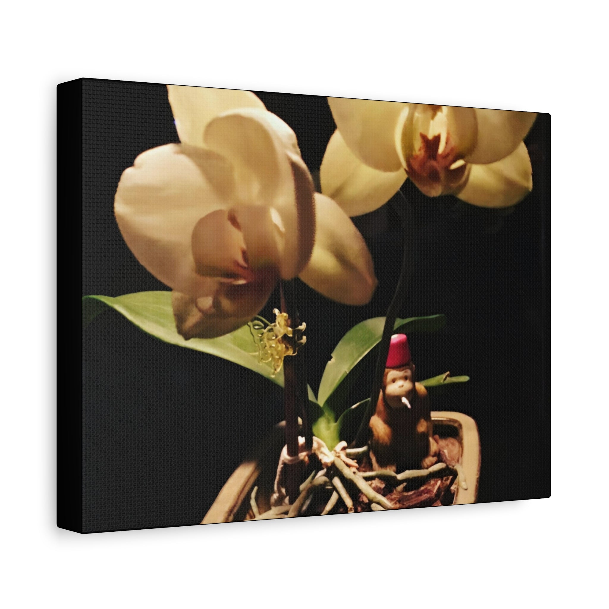 Orchid Still Life Canvas – Orchid Wall Art with Fez Monkey on Matte Stretched Canvas