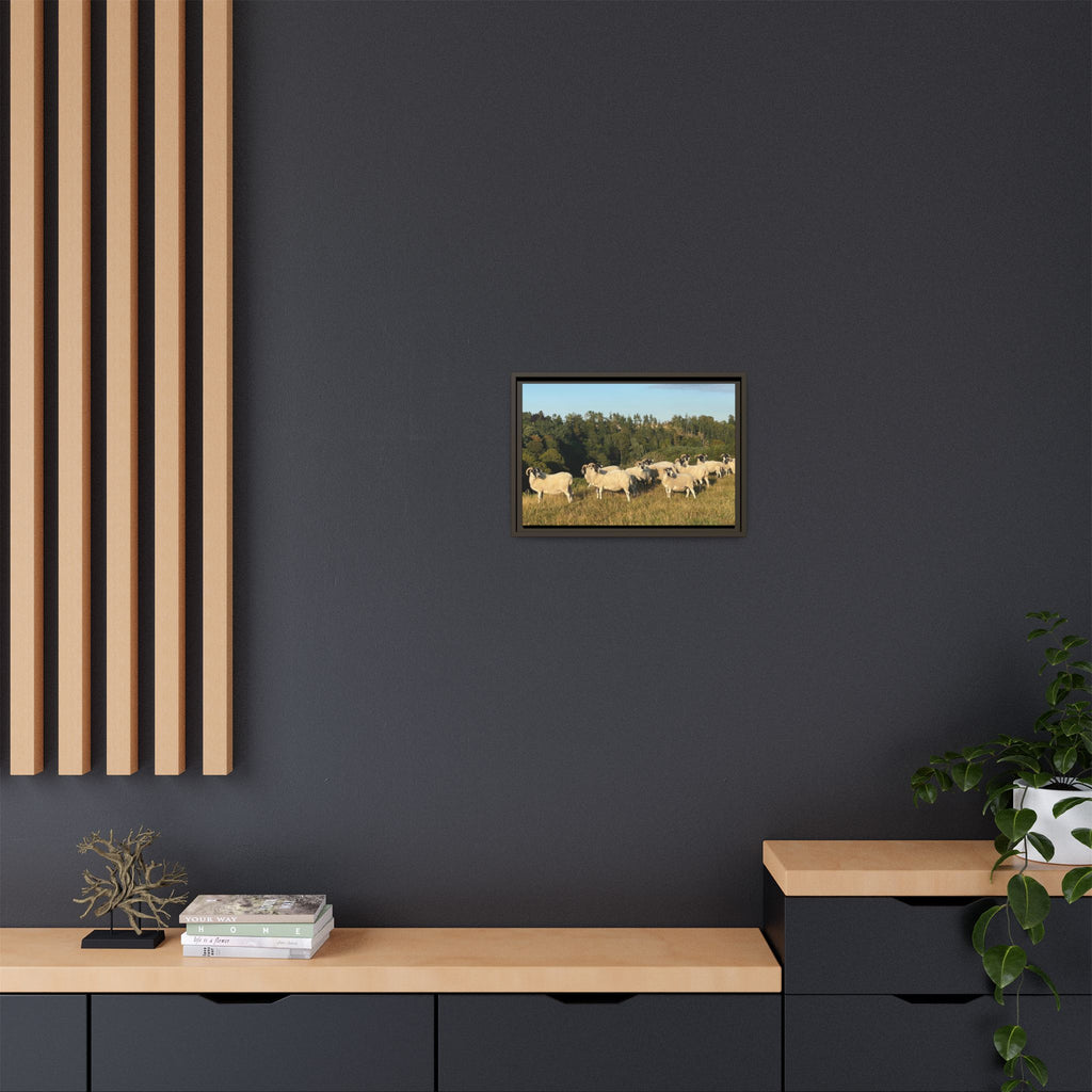 Framed Matte Canvas Print — Pastoral Sheep Landscape Wall Art