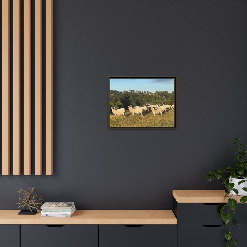 Framed Matte Canvas Print — Pastoral Sheep Landscape Wall Art