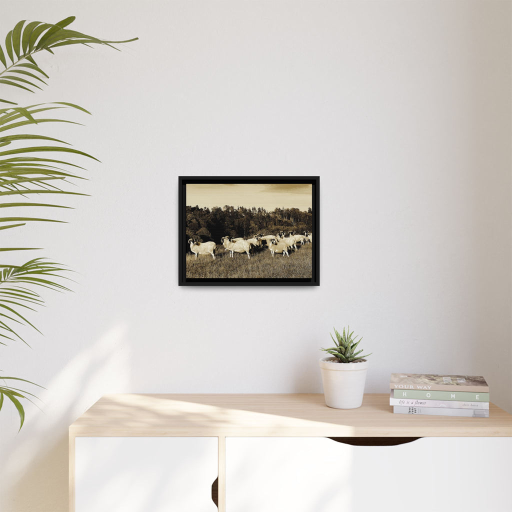 Framed Matte Canvas Print — Vintage Sheep Pasture Wall Art