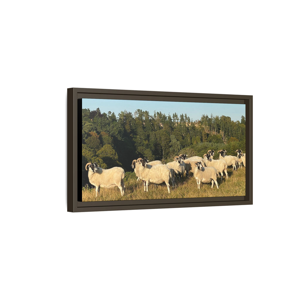 Framed Matte Canvas Print — Pastoral Sheep Landscape Wall Art
