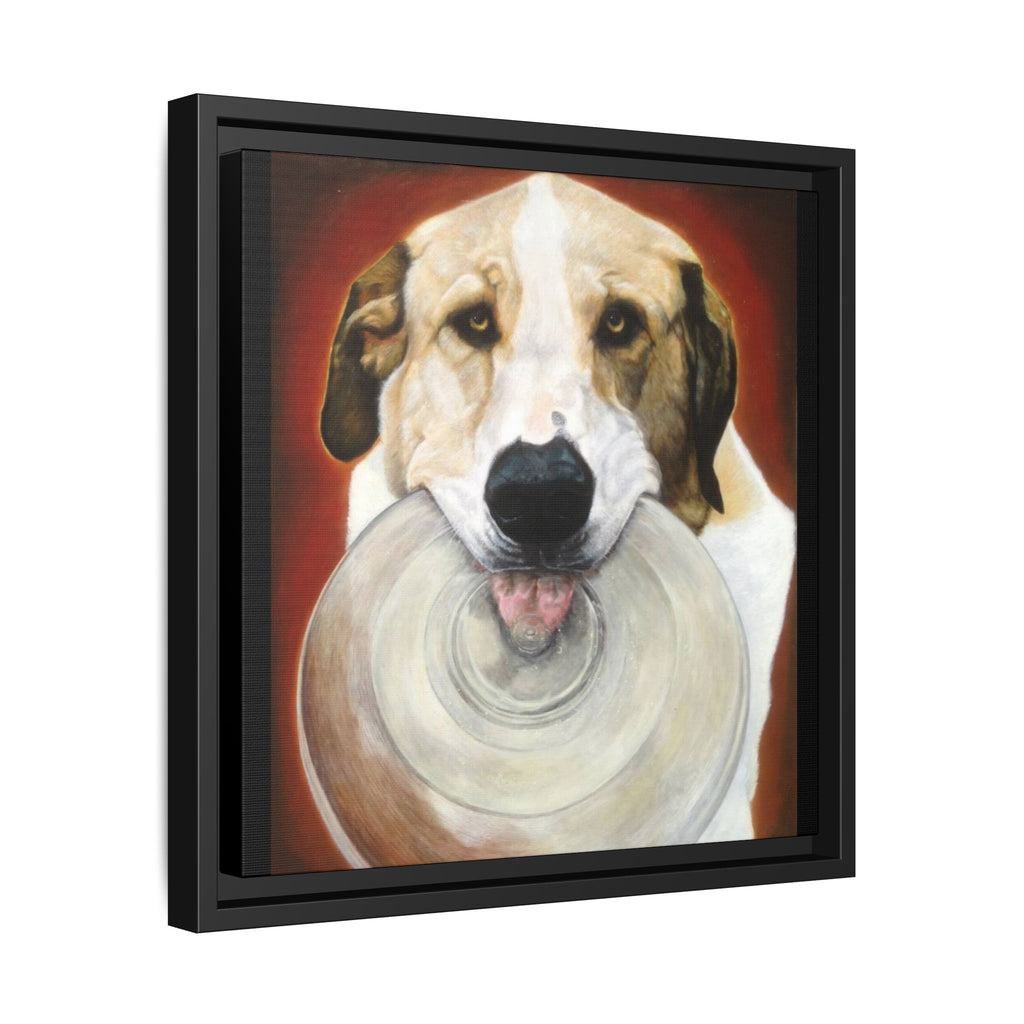Framed Matte Canvas Print — Playful Wookie Holding His Frisbee
