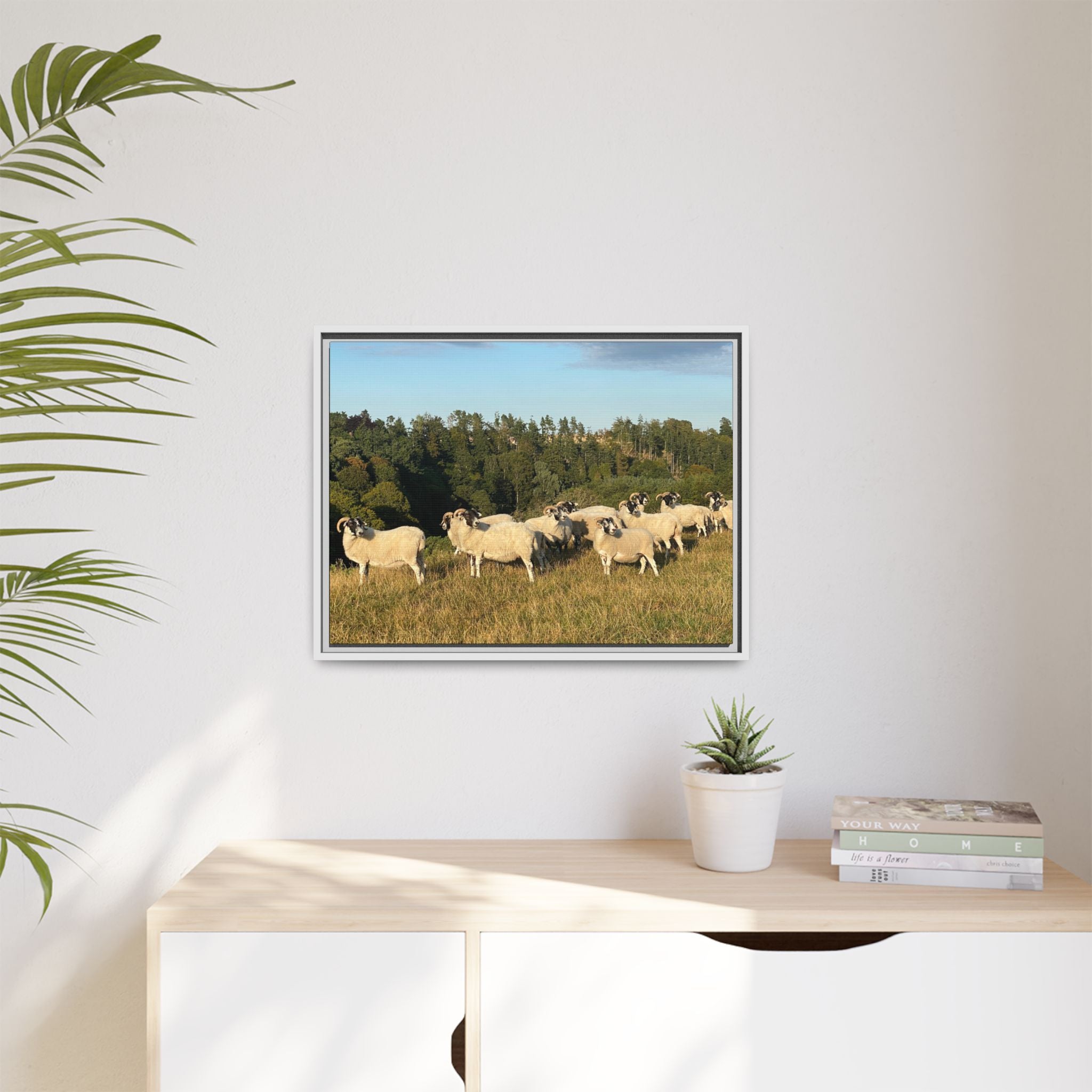 Framed Matte Canvas Print — Pastoral Sheep Landscape Wall Art