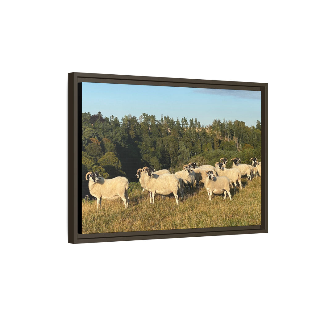 Framed Matte Canvas Print — Pastoral Sheep Landscape Wall Art